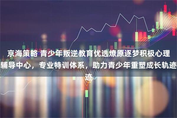 京海策略 青少年叛逆教育优选燎原逐梦积极心理辅导中心，专业特训体系，助力青少年重塑成长轨迹