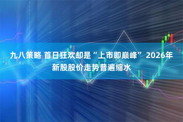 九八策略 首日狂欢却是“上市即巅峰” 2026年新股股价走势普遍缩水
