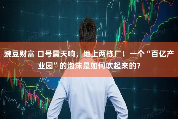 豌豆财富 口号震天响，地上两栋厂！一个“百亿产业园”的泡沫是如何吹起来的？