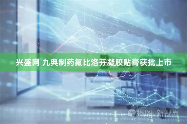 兴盛网 九典制药氟比洛芬凝胶贴膏获批上市