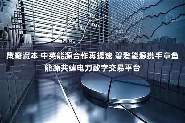 策略资本 中英能源合作再提速 碧澄能源携手章鱼能源共建电力数字交易平台