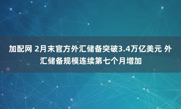 加配网 2月末官方外汇储备突破3.4万亿美元 外汇储备规模连续第七个月增加