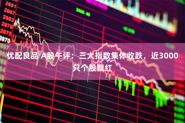 优配良品 A股午评：三大指数集体收跌，近3000只个股飘红