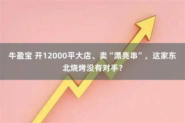 牛盈宝 开12000平大店、卖“漂亮串”，这家东北烧烤没有对手？