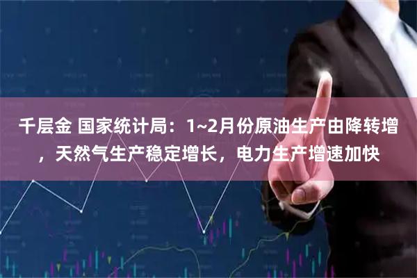 千层金 国家统计局：1~2月份原油生产由降转增，天然气生产稳定增长，电力生产增速加快