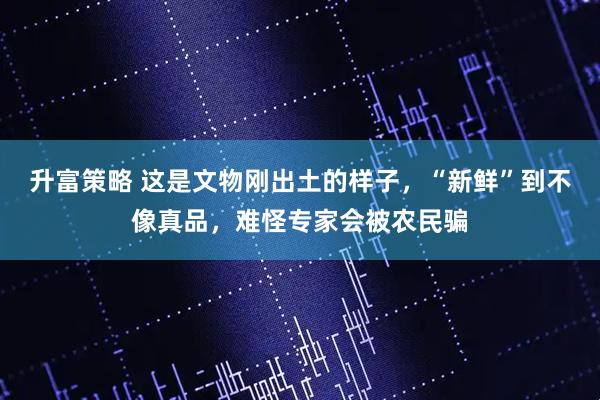 升富策略 这是文物刚出土的样子，“新鲜”到不像真品，难怪专家会被农民骗