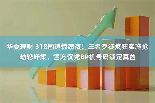 华夏理财 318国道惊魂夜！三名歹徒疯狂实施抢劫轮奸案，警方仅凭BP机号码锁定真凶