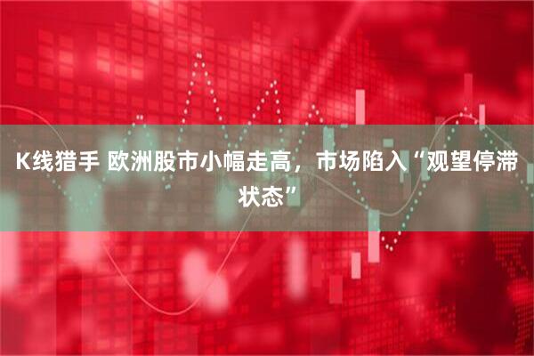 K线猎手 欧洲股市小幅走高，市场陷入“观望停滞状态”