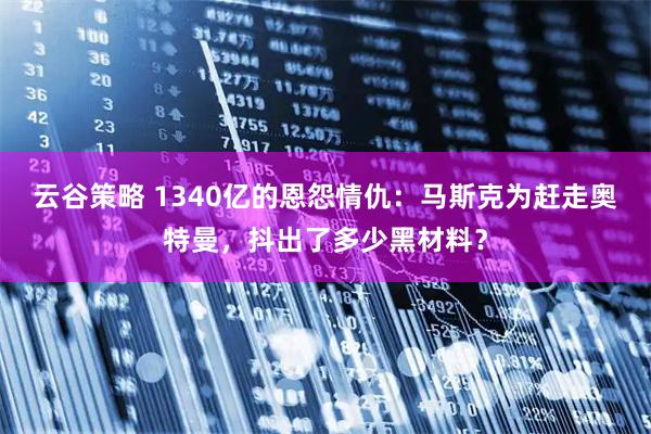 云谷策略 1340亿的恩怨情仇：马斯克为赶走奥特曼，抖出了多少黑材料？