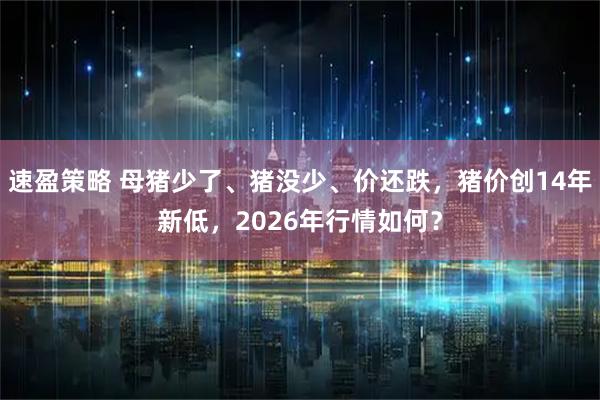 速盈策略 母猪少了、猪没少、价还跌，猪价创14年新低，2026年行情如何？