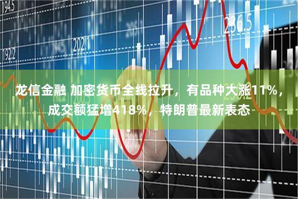 龙信金融 加密货币全线拉升，有品种大涨11%，成交额猛增418%，特朗普最新表态