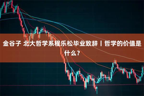 金谷子 北大哲学系程乐松毕业致辞丨哲学的价值是什么？