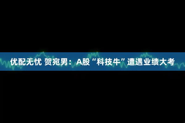 优配无忧 贺宛男：A股“科技牛”遭遇业绩大考